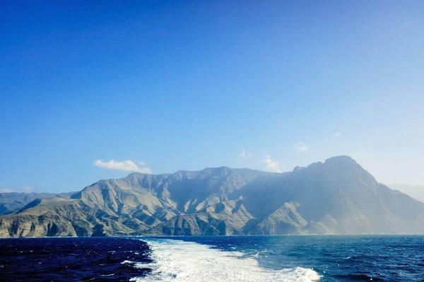 ¿Cómo acostumbrar a mi perro a viajar en coche?