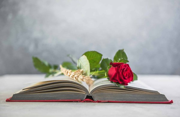 ¿Cuáles son los beneficios de la esterilización/castración de los gatos?