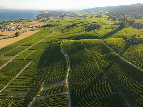 ¿Cómo diseñar una terraza moderna y elegante en un pequeño espacio exterior?